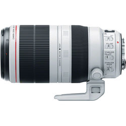 Canon EF 100-400mm f/4.5-5.6 L IS II USM - alternate view
