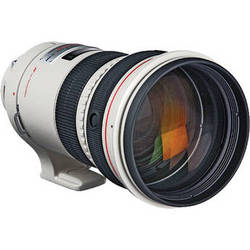 Canon EF 300mm f/2.8 L IS USM