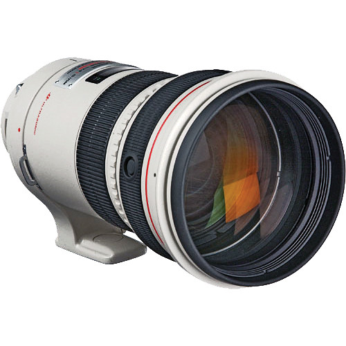 Canon EF 300mm f/2.8 L IS USM
