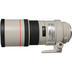 Canon EF 300mm f/4L IS USM Lens - alternate view