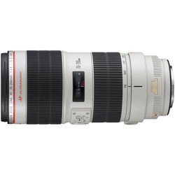 Canon EF 70-200mm f/2.8 L IS II USM - alternate view