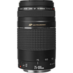 Canon EF 75-300mm f/4-5.6 III USM Lens - alternate view