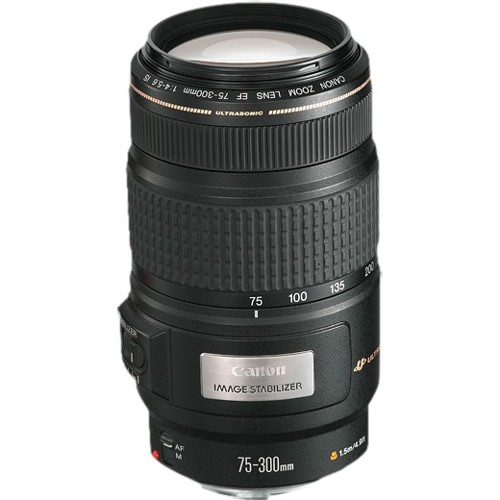 Canon EF 75-300mm f/4-5.6 IS USM