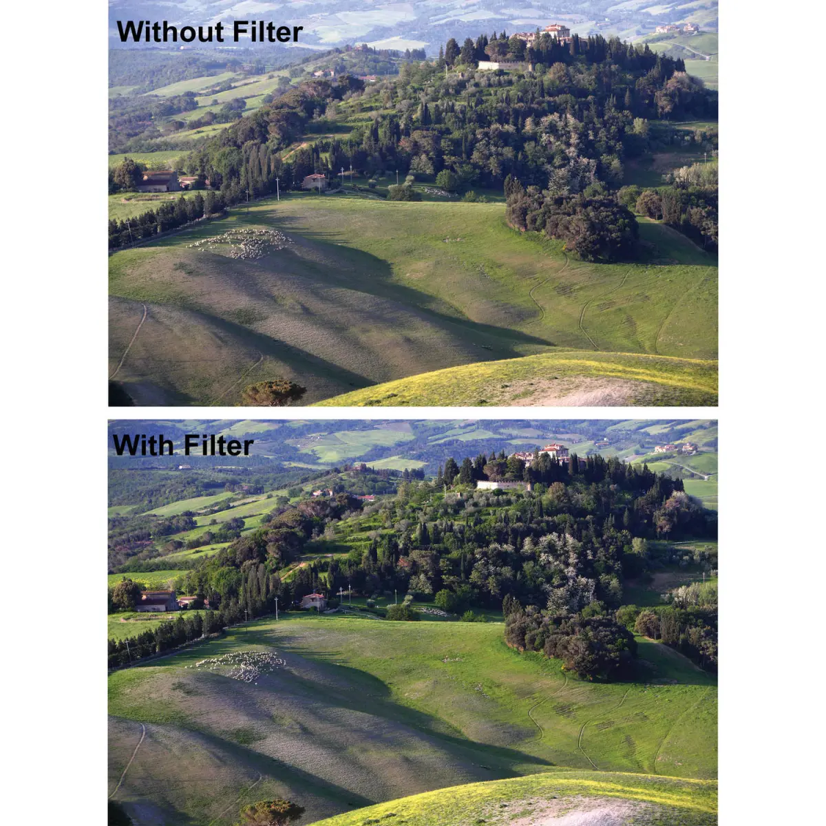 B+W 77mm UV Haze SC 010 Filter alternate view