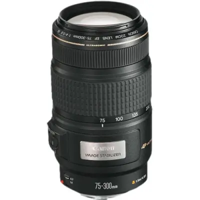 Canon EF 75-300mm f/4-5.6 IS USM Lens