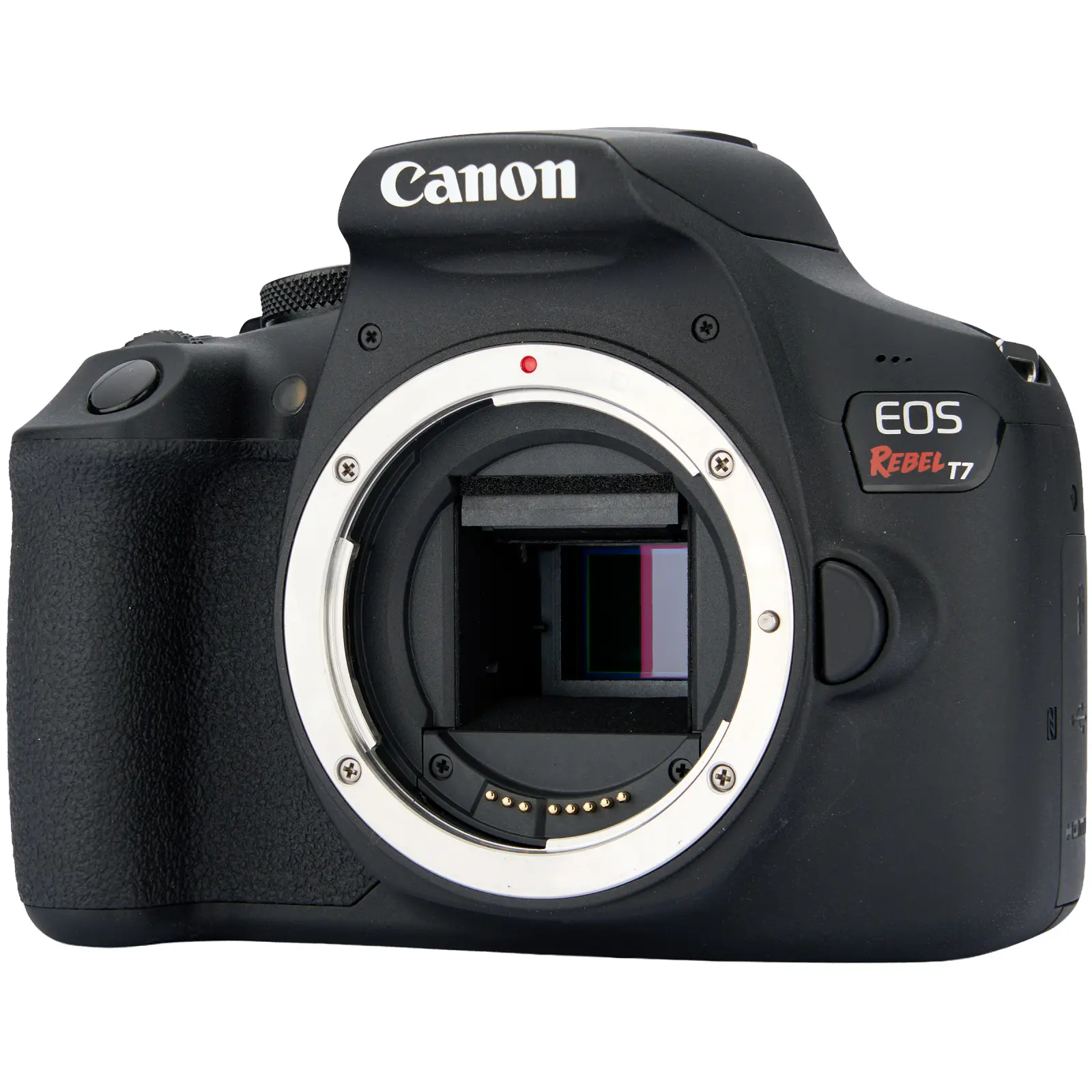 Canon EOS Rebel T7 DSLR Camera 3