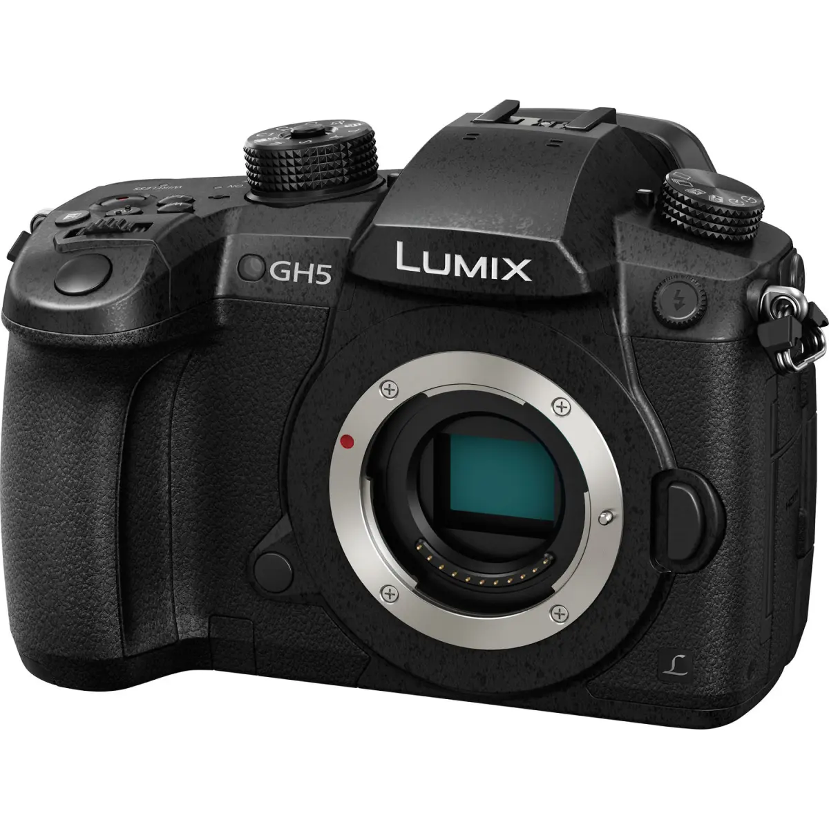 Panasonic Lumix DC-GH5 Mirrorless Camera alternate view