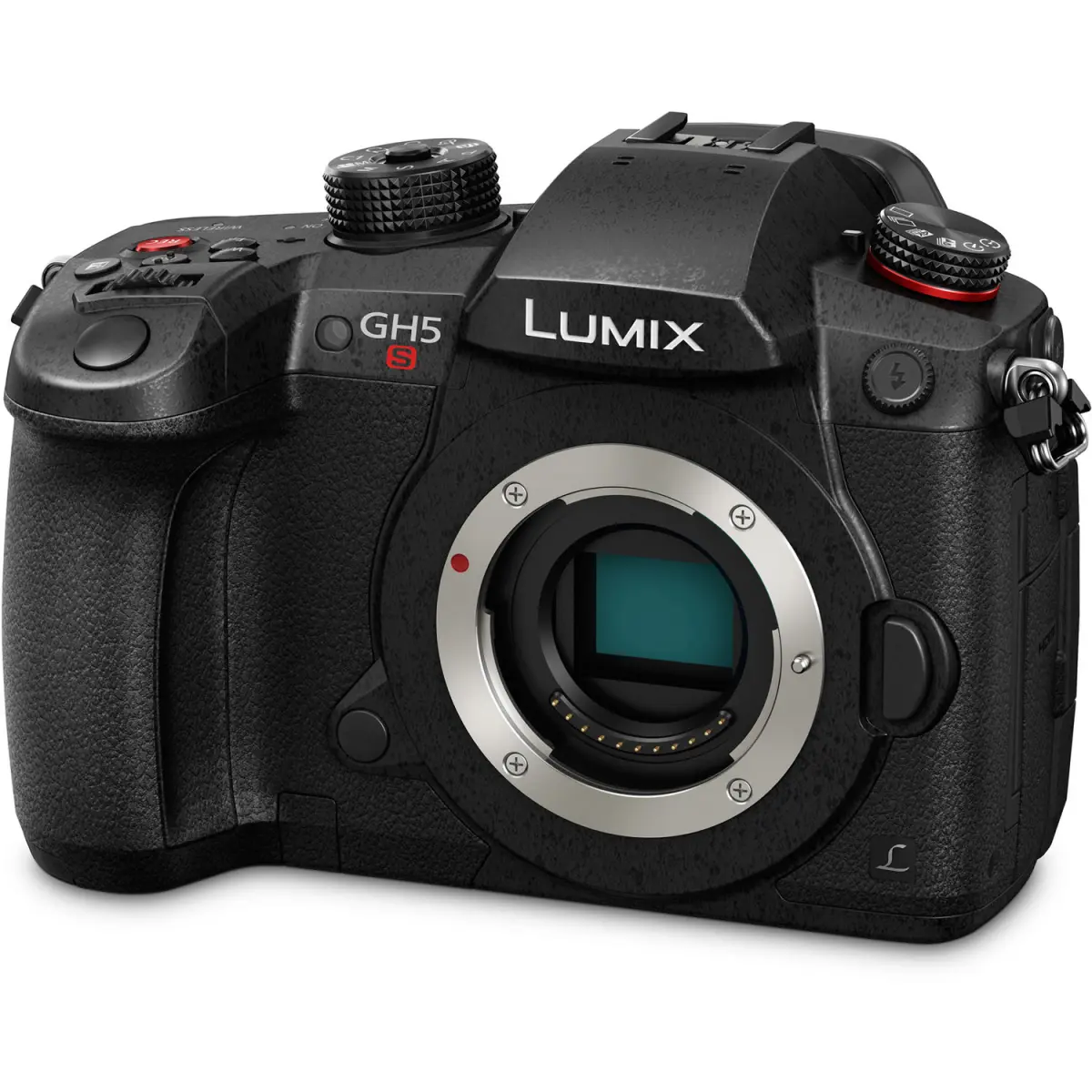 Panasonic Lumix GH5S Mirrorless Camera alternate view