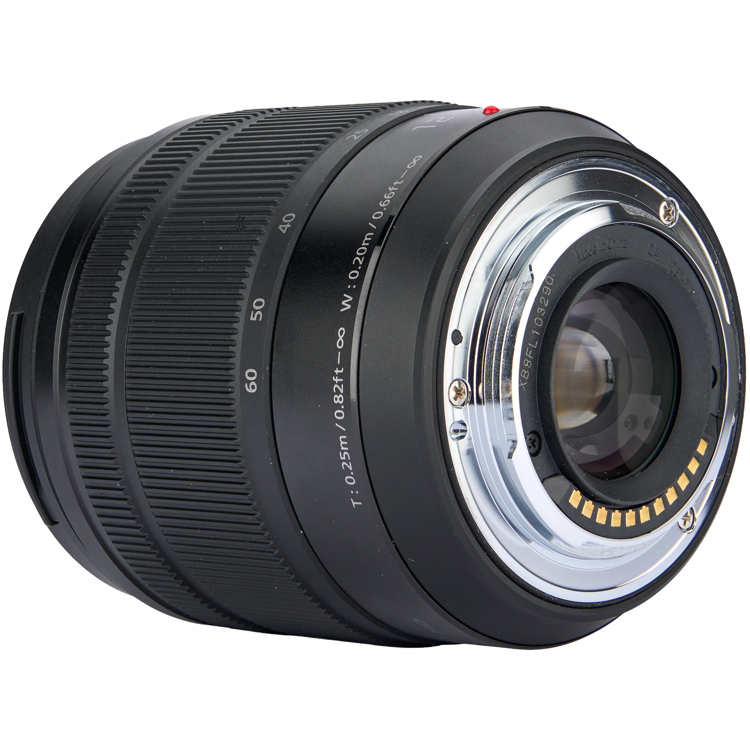 Lumix G Vario 12-60mm f/3.5-5.6 ASPH. Power O.I.S. Lens 10