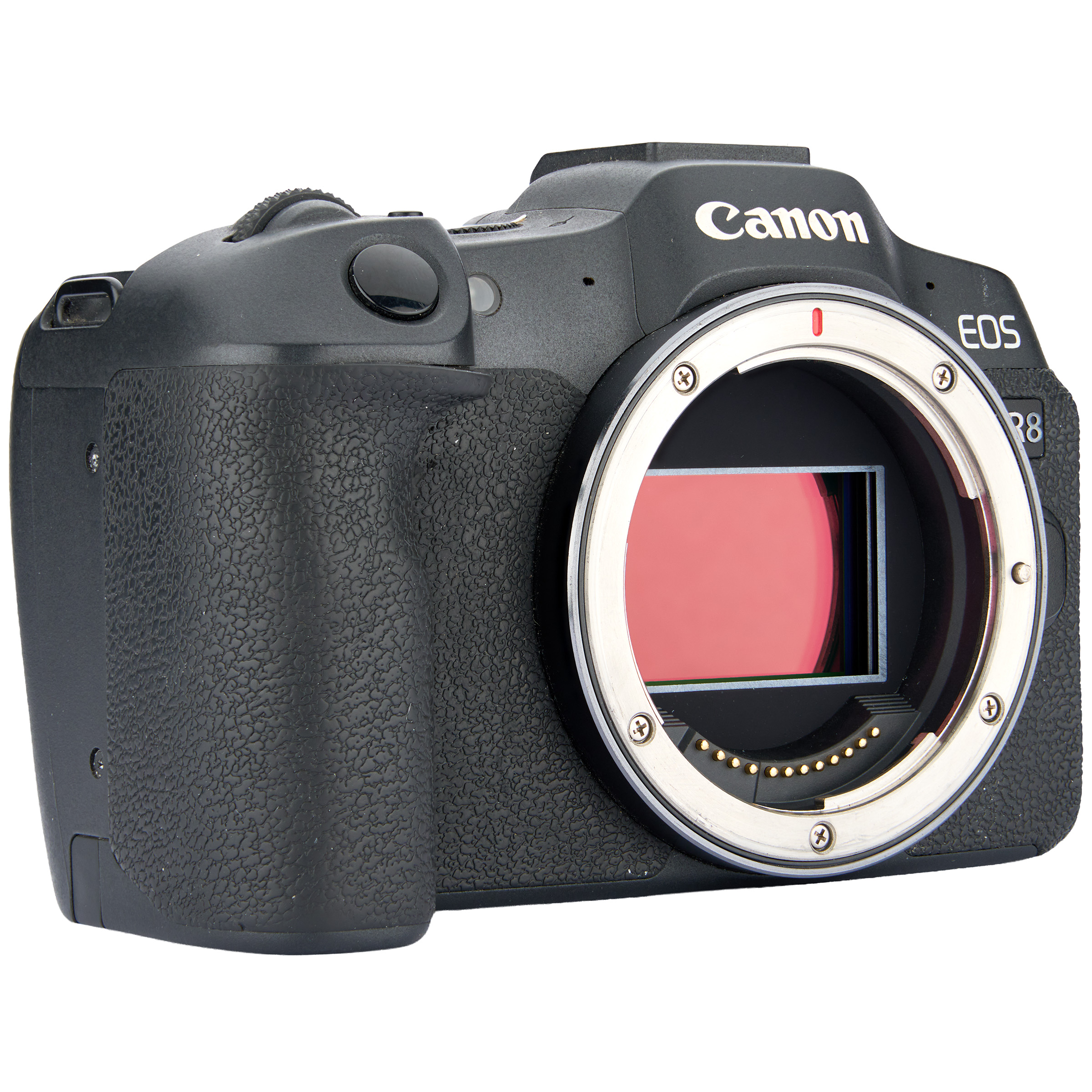 EOS R8 2
