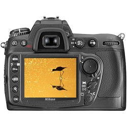 Nikon D300 DSLR Camera - alternate view