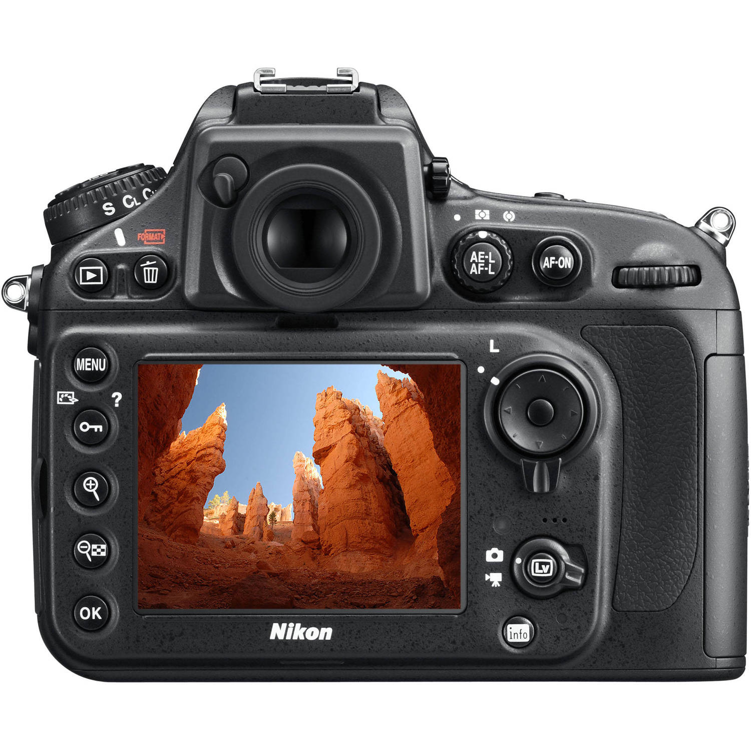 Nikon D800 alternate view