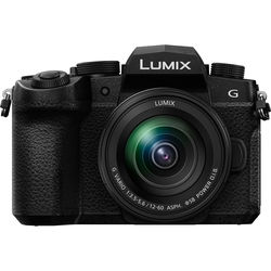 Panasonic Lumix DC-G95 Mirrorless Camera - alternate view