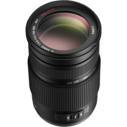 Panasonic Lumix G Vario 100-300mm f/4-5.6 Mega O.I.S. Lens