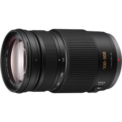 Panasonic Lumix G Vario 100-300mm f/4-5.6 Mega O.I.S. Lens - alternate view