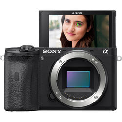 Sony a6600 Mirrorless Camera - alternate view